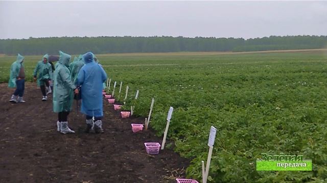 2019 08 13 Зелёная передача смотреть онлайн