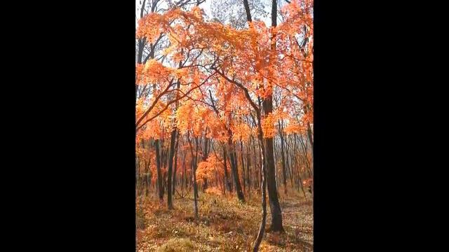 Велопрогулка 20 10 13 больше смотреть онлайн