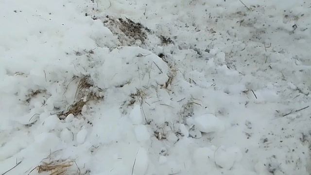 самодельный трактор 4×4 в лес за дровами.день 2 смотреть онлайн