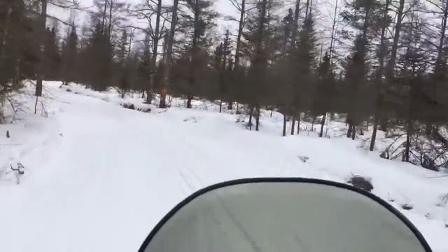 1995 Arctic Cat Puma 340 2up Snowmobile riding Chippewa Flowage смотреть онлайн