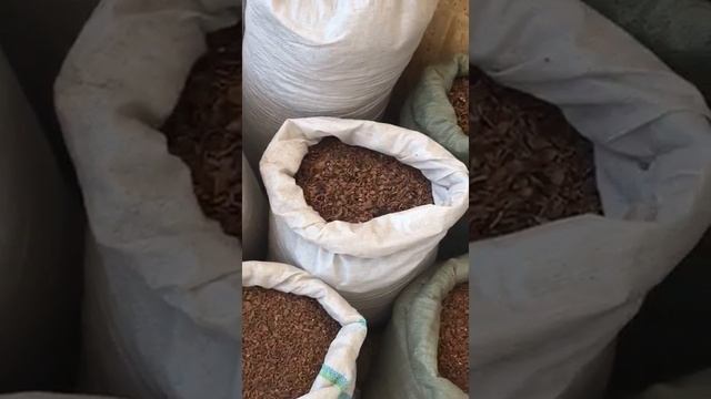 Скорлупа грецкого ореха, разные фракции: от крупной до мельчайшей смотреть онлайн