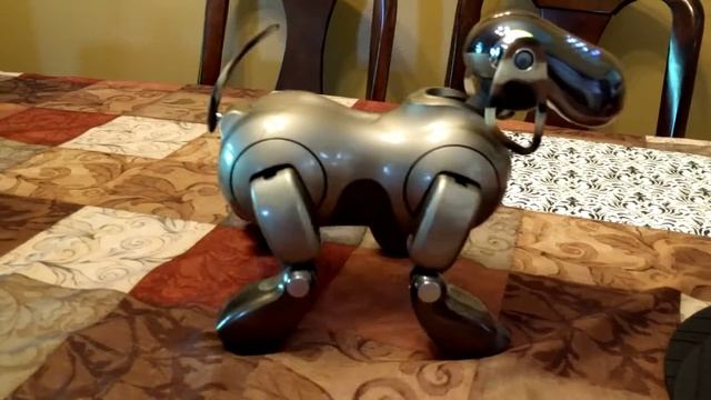 Aibo ERS-7 Mind 3 Clinic Mode смотреть онлайн