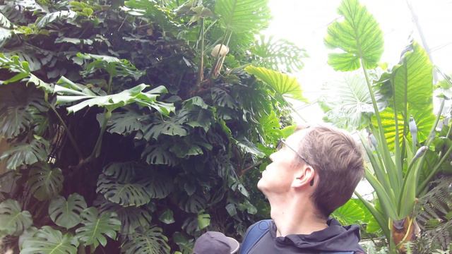 В Кировском Полярно-Альпийском Ботаническом Саду смотреть онлайн