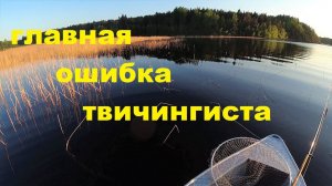 Главная ошибка твичингиста