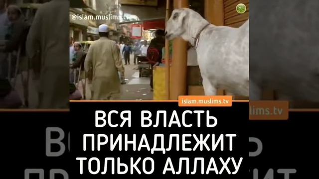 Вся власть Принадлежит только Аллаху смотреть онлайн