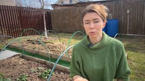 ВЕСЕННИЙ УХОД ЗА КЛУБНИКОЙ ДЛЯ ХОРОШЕГО УРОЖАЯ. Мои правила ухода за клубникой весной