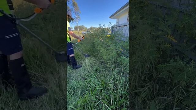 Customer feedback for line trimmer 40V INGCO CSTLI20018 (Aussie) смотреть онлайн