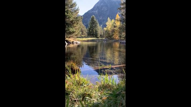 Relax music. Расслабляющие звуки природы, Звуки леса, Река, пение птиц. смотреть онлайн