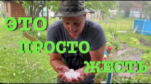 #57. Сюрпризы погоды. Эксперименты продолжаются. Плов. [Жизнь на своей земле]