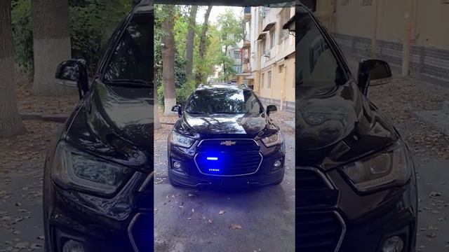 Стробоскопы midiPulse черные смотреть онлайн