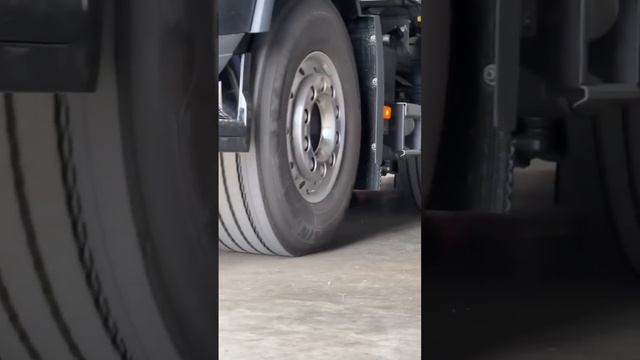 Iwona Blecharczyk New Goldhofer MPA7 trailer! смотреть онлайн