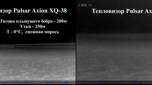 Pulsar Axion XQ-38 и Axion ХМ-30S - сравнение в реальных условиях охоты! смотреть онлайн