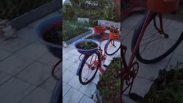 Фонтан с водопадом в на даче своими руками! смотреть онлайн