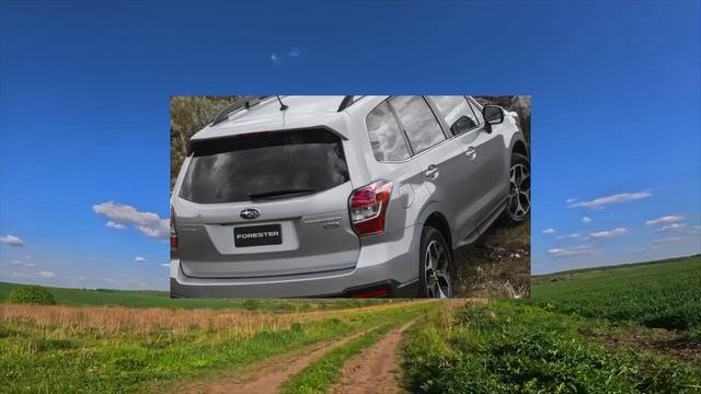 Veel voorkomende problemen Subaru Forester SJ 4 - Koopadvies смотреть онлайн