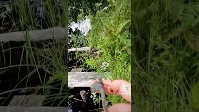 УРА .Нашёл ключ от сейфа, где деньги лежат. смотреть онлайн