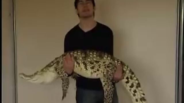 Крокодил Гена смотреть онлайн