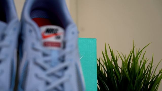 Supreme Nike SB Gato Review & On Feet смотреть онлайн