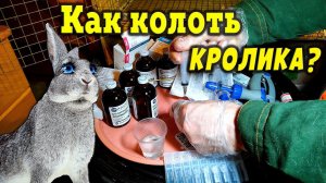 Как колоть кролика?