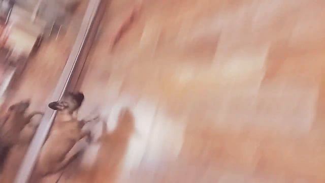 Кот и собака. кто главный? смотреть онлайн