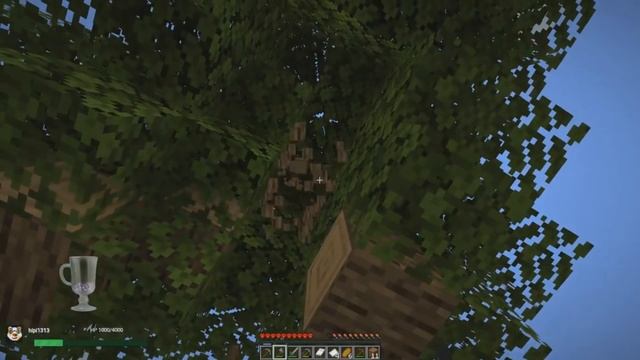 [1] EXPERIENCING MORTALITY IN MINECRAFT 1.14.4 (Hardcore Minecraft) смотреть онлайн