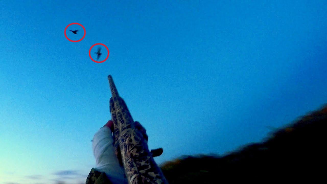 Осенняя охота на утку. Первая охота Матвея. Наконец то удача!!! Чок GEMINI! MAX HUNTER ! смотреть онлайн