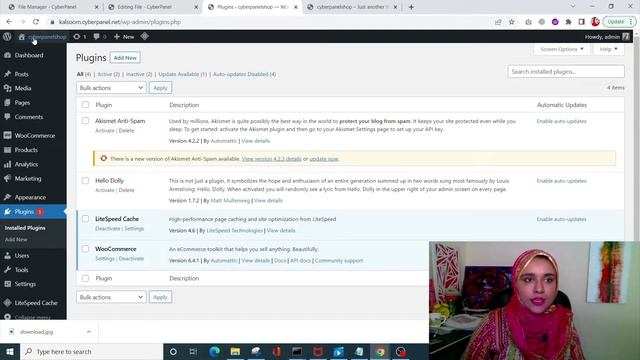 How to use WooCommerce Hooks смотреть онлайн