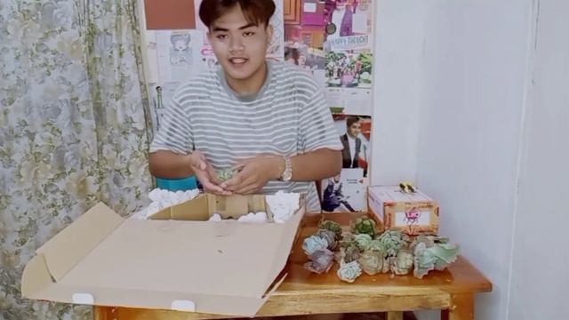 SUCCULENT UNBOXING #2 FROM BENGUET! смотреть онлайн