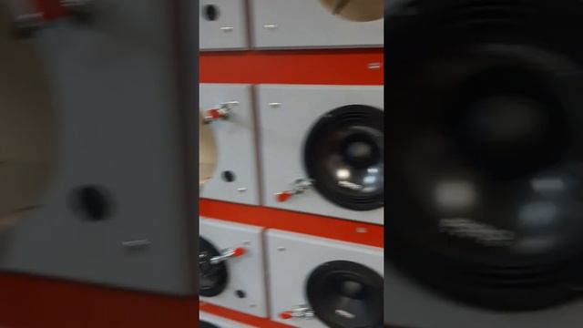 эстрада 16cм DST PM-165.3 PRO смотреть онлайн