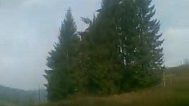 Земельна ділянка на продаж Закарпаття