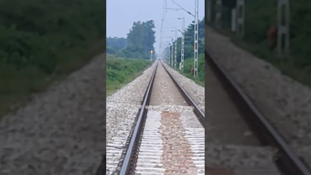 where is train? 😨😱 #tyson #pitbull #train #uk05 #dog смотреть онлайн