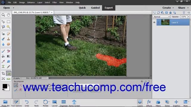 Photoshop Elements 2019 Tutorial The Recompose Tool Adobe Training смотреть онлайн