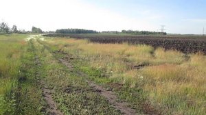 Проселочная дорога