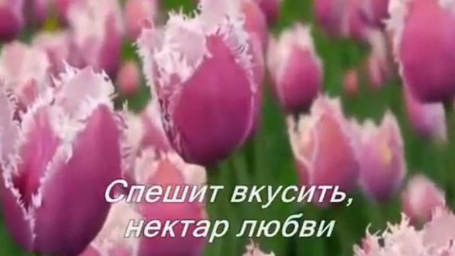 Весна... смотреть онлайн