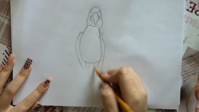КАК НАРИСОВАТЬ ПОПУГАЯ!!!HOW TO DRAW A PARROT!!! смотреть онлайн