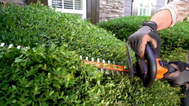 7 Best Cordless Hedge Trimmers смотреть онлайн