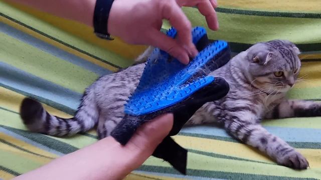 Удаляем шерсть. Силиконовая рукавичка для шерсти смотреть онлайн