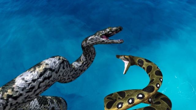 Titanoboa VS Anaconda in English: Which one would win in a fight? смотреть онлайн