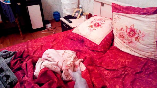Сфинкс берет в осаду. смотреть онлайн