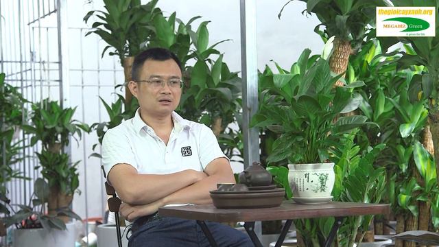 Thăm nhà vườn nhà chủ tịch và những trải nghiệm trong nghề trồng cây смотреть онлайн