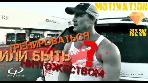 Тренироваться или быть ничтожеством? | Грег Плитт | Круг Чести | Георгий Стадник