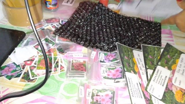 Cara mudah packing biji/seeds bunga vinca смотреть онлайн