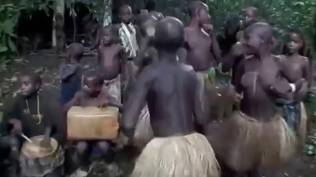 Пигмеи танец смотреть онлайн