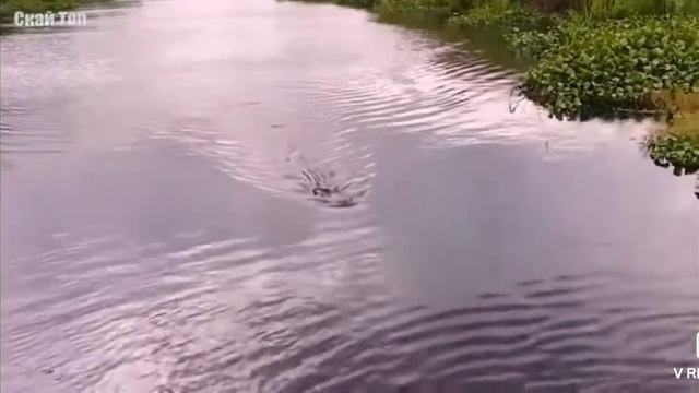 мы смотрим скай топ смотреть онлайн