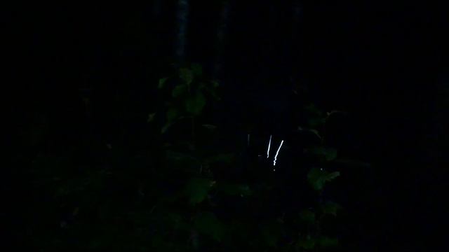 "Кострище". Никола-Ленивец. SIGNAL 2020. Часть 1. смотреть онлайн