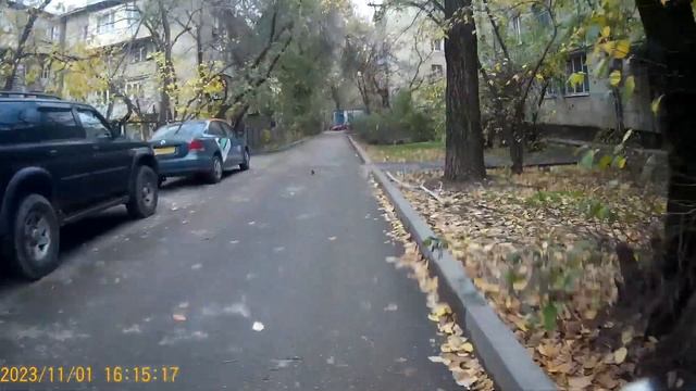 Алматы Велосипед Осень 1 Ноября Среда. смотреть онлайн