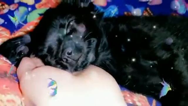 Не смотря ни на что,буду мечтать! смотреть онлайн