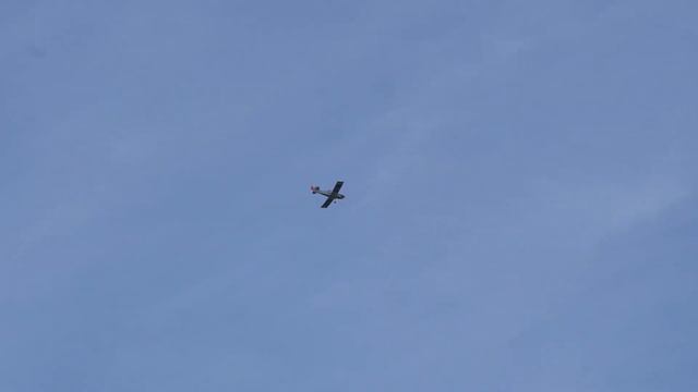 What Can Possibly Go Wrong Jumping Joe смотреть онлайн