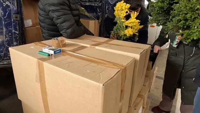 СЕРИЯ 2-я. ОПТОВАЯ ЯРМАРКА ЦВЕТОВ. Краснодар. 05.03.23. Продолжение следует....... смотреть онлайн