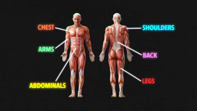 Why We Should All Train To Build Strength смотреть онлайн