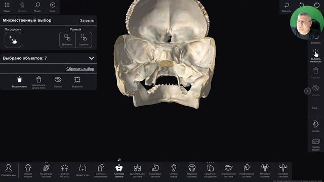 3D Анатомия для студентов. Кости мозгового черепа. Лобная, теменная, затылочная, клиновидная кости смотреть онлайн